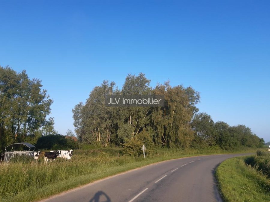 Terrain à vendre à Bambecque, 4288 m²