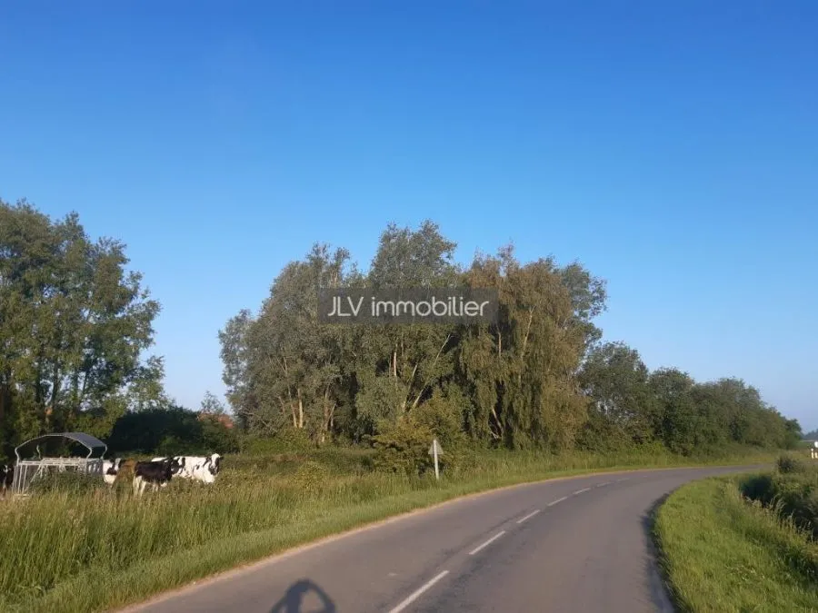 Terrain à vendre à Bambecque, 4288 m²